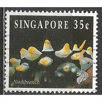 Сингапур. Молюск Филлидия. 1994г. Mi#714.