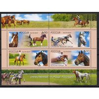 Россия 2007. Отечественные породы лошадей. Малый лист 121 (652)