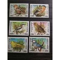 Камбоджа 1999 г. Птицы