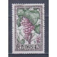 [855] Французские колонии. Алжир 1950. Флора.Плоды.Виноград. Гашеная марка.
