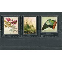 КНДР. Живопись Дюрера