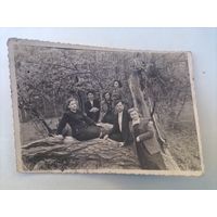 Фото в коллекцию