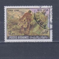 [1272] Афганистан 1972. Фауна.Дикие кошки.Рысь. Гашеная марка.