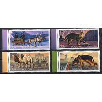 Россия 2025. 80 лет Победы в ВОВ. Животные на фронтах. 4 марки (2768)