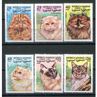 Сахара - 1995г. - Кошки (2) - 6 марок - полная серия, MNH. #O-Se-Z-1-1