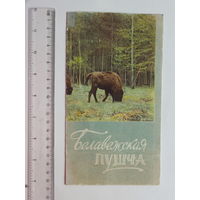 Буклет  Белавежская пушча 1960 г