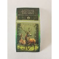 Животные Латвии - Олень благородный (Cervus elaphus)