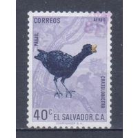 [1225] Сальвадор 1963. Фауна.Птицы. Гашеная марка.