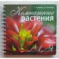 Комнатные растения от А до Я Князева