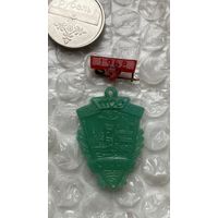 Значки города Полоцк 1100 лет,пластик