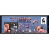 Багамы 2012. Фауна WWF Фламинго сцепка 4 марки 1447