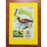 Календарик 1991 Колпица Каравайка