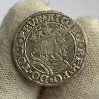 Грош 1531 г., Торунь, Польша-Пруссия, Сигизмунд I Старый. Вариант PRVS/PRVSS. Очень красивый! Блеск и прочекан!