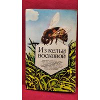 Из кельи восковой