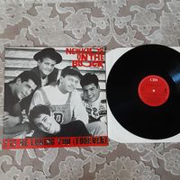 NEW KIDS ON THE BLOCK - 1989- I'LL BE LOVING YOU (FOREVER) (HOLLAND) LP, 12", 45 RPM