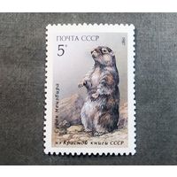 Марка СССР 1987 год Животные из Красной книги