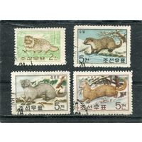 КНДР. Фауна. Пушные звери