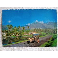 Западная Ява. Панорама в Чипанас-Гаруте