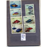 КУБА, 1969,  МОЛЛЮСКИ,   6м гашен