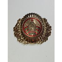 Кокарда МВД Республики Беларуси . С рубля .