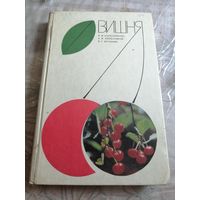 Вишня.