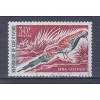 [1225] Кот д'Ивуар 1965. Фауна.Птицы. Гашеная марка.