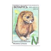 Марка Норка европейская