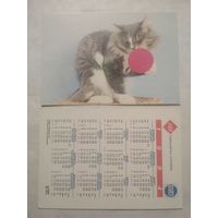 Карманный календарик. Котик.1994 год