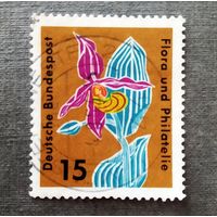 Марка Германия 1963 год Цветы