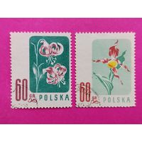 Польша. Цветы. ( 2 марки ) 1957 года. 3-10.