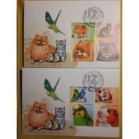 КПД Детская филателия. Домашние питомцы Фауна Беларусь 2025 **