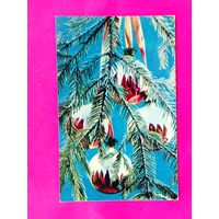 С новым годом! Чистая. 1971 года. Фото Ветчинина. *266.