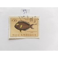 Мозамбик 1954 рыбы