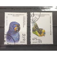 Мадагаскар. 1992 год. Фауна. Птицы. Попугаи