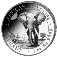 Сомали Африканский слон 2025 серебро 9999