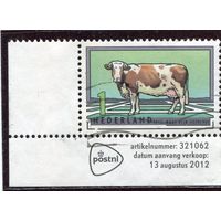 Нидерланды. Породы коров