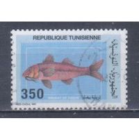 [1337] Тунис 1991. Фауна.Рыбы. Гашеная марка. 2