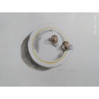 Графика. 42/60 см.