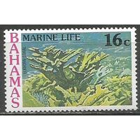 Багамы. Кораллы. 1977г. Mi#416.