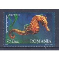 [1559] Румыния 2007. Фауна.Рыба.Морской конек. Гашеная марка.