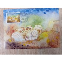 О-10. КАРТМАКСИМУМ. ЛИХТЕНШТЕЙН. РЫБА.