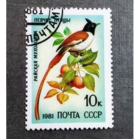 Марка СССР 1981 год Птицы