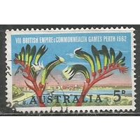 Австралия. Цветы. Кенгуровая лапа. 1962г. Mi#321.