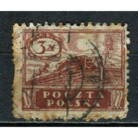 Польша - 1919/1920 - Фермер 3М - [Mi.113] - 1 марка. Гашеная.  (Лот 11JL)-TG2P32