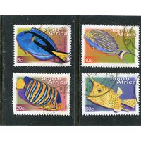 ЮАР. Морская фауна