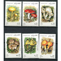 Афганистан - 2001 - Грибы - [Mi. 1951-1956] - полная серия - 6 марок. MNH.  (Лот 31JQ)-T3P10