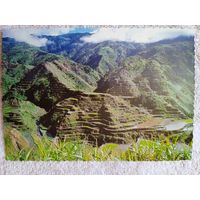 Филиппины. Рисовые террасы Банауэ, которым 2000 лет