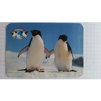 Календарик.Пингвины.