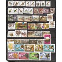 ФФ1 Сток марок гаш