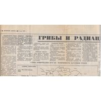 Грибы и радиация на карте Беларуси.